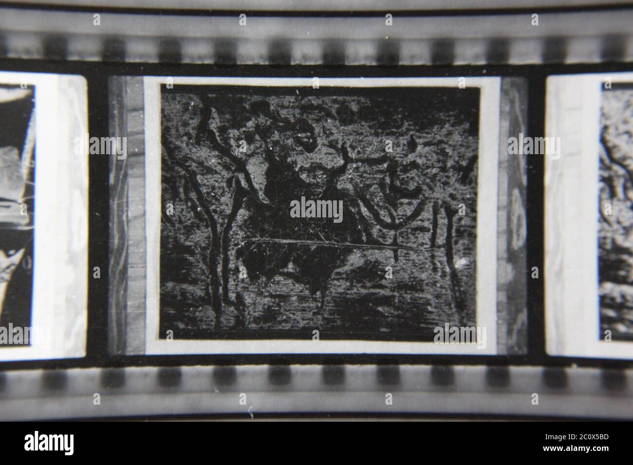 Fine 1970s vintage black and white photography of the beauty of nature ...