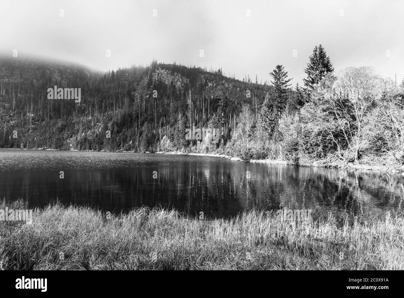 Plesne Lake and Plechy Mountain in autumn. Sumava National Park, Czech Republic. Black and white image. Stock Photo