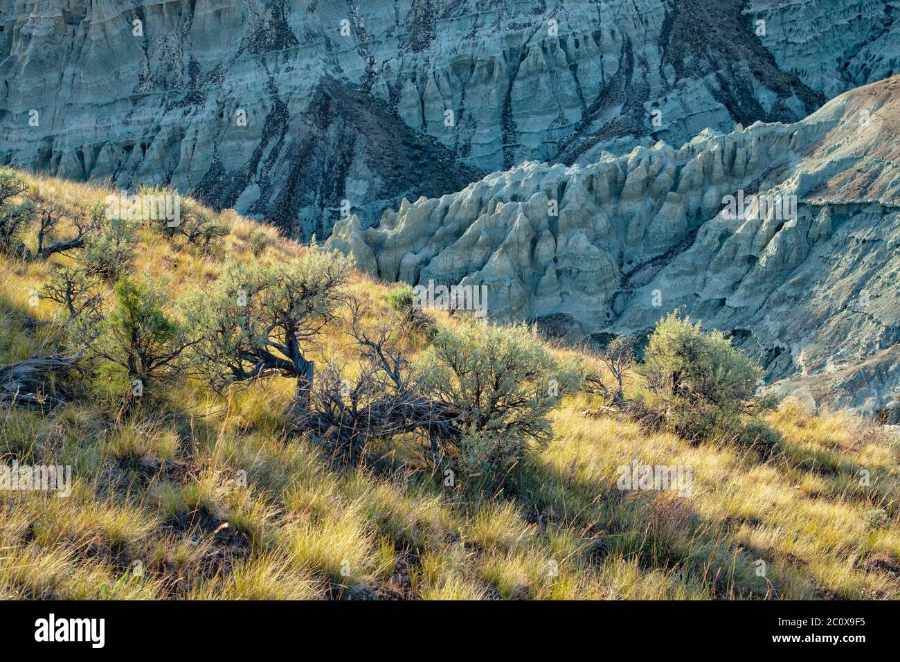 USA, Oregon,Wheeler County, Mitchell, John Day Fossil Beds, National
