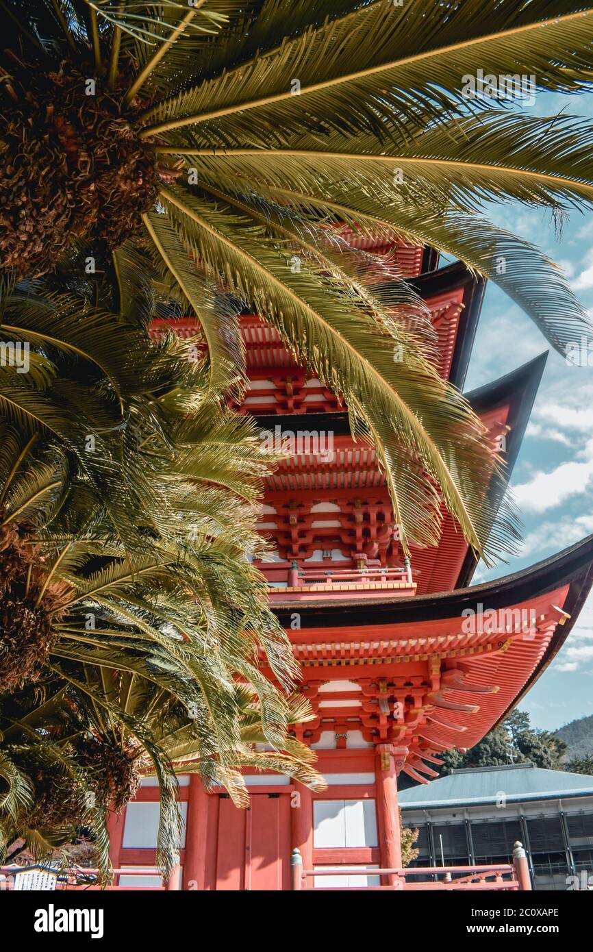 Traditional Japanese four stores red pagoda hidden behind a palm tree ...