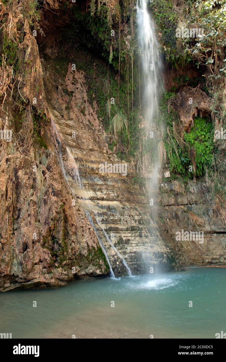 Ein Gedi waterfall. Israel Stock Photo