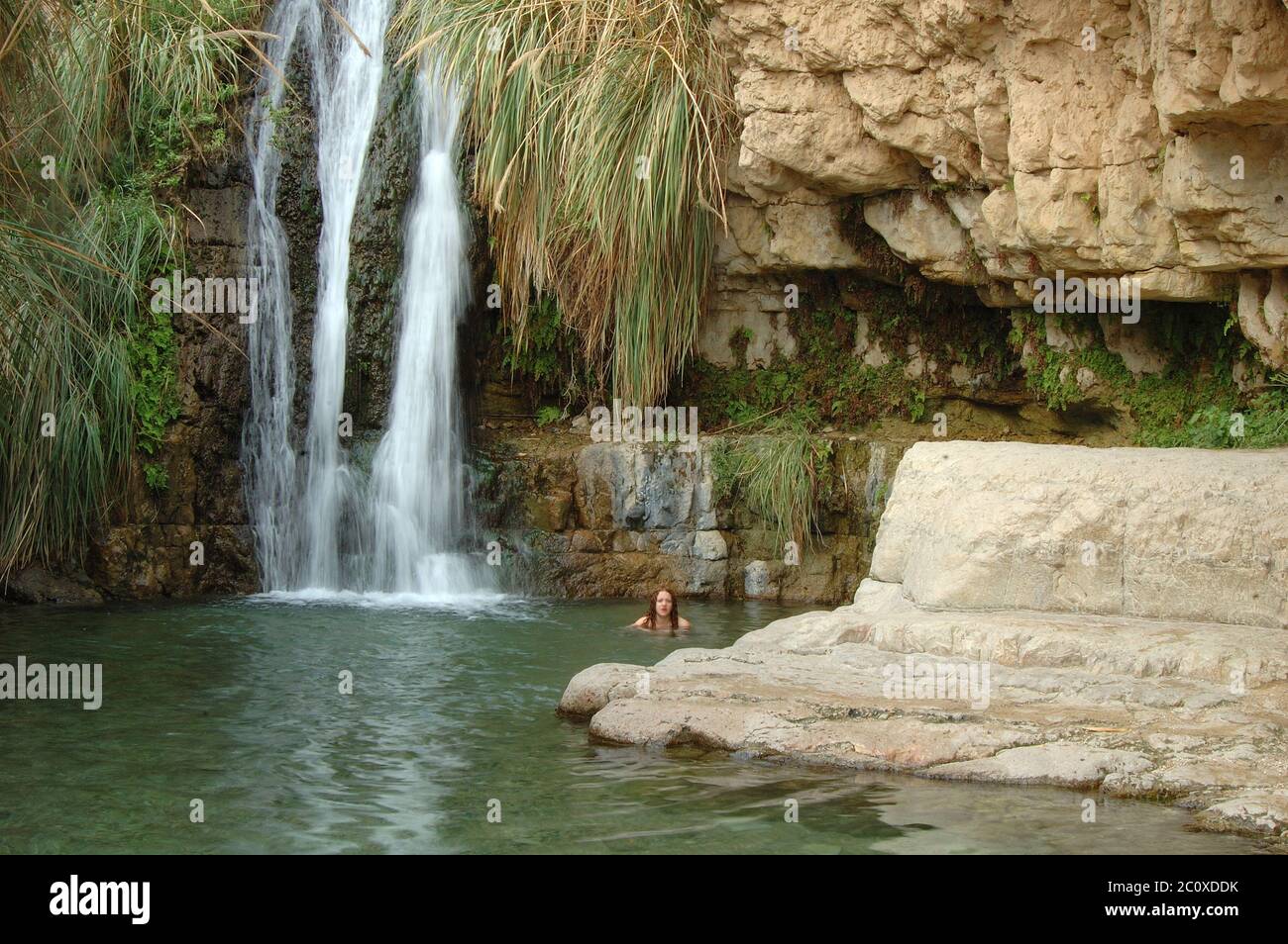 Ein Gedi waterfall. Israel Stock Photo