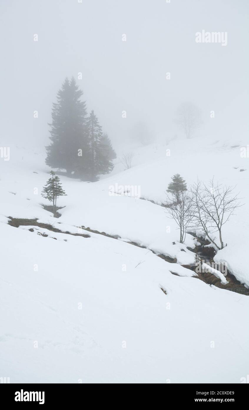 winter weather in mountains with sleet Stock Photo