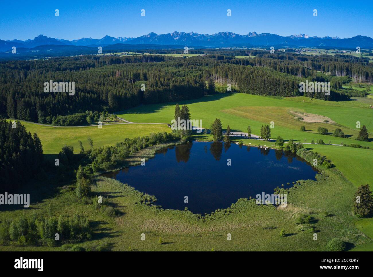 Marktoberdorf, Germany, 12th June 2020  Kuhstallweiher, a small lake for relax and swimming. © Peter Schatz / Alamy Stock Photos Stock Photo