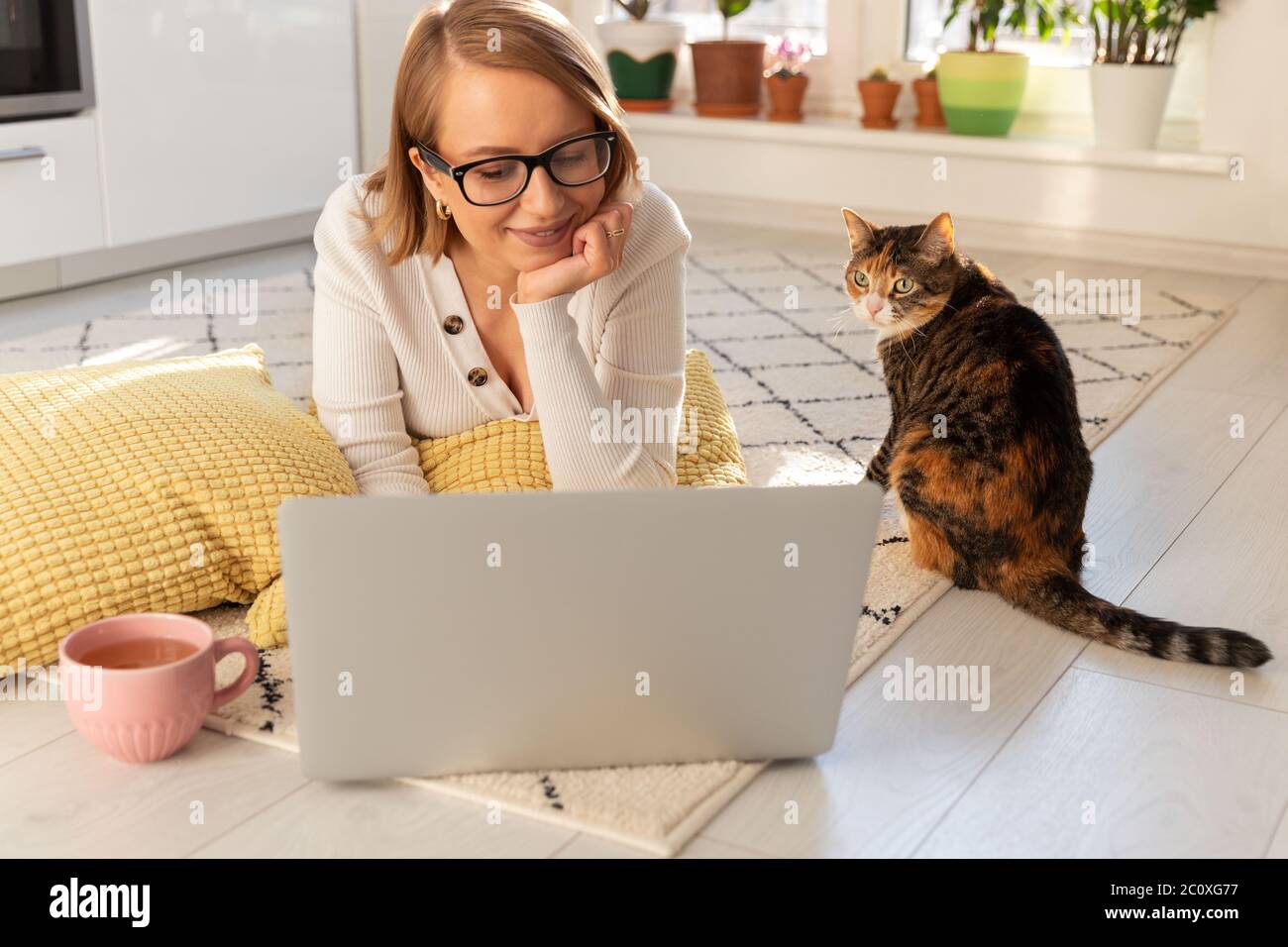 Funny cat video hi res stock photography and images Alamy