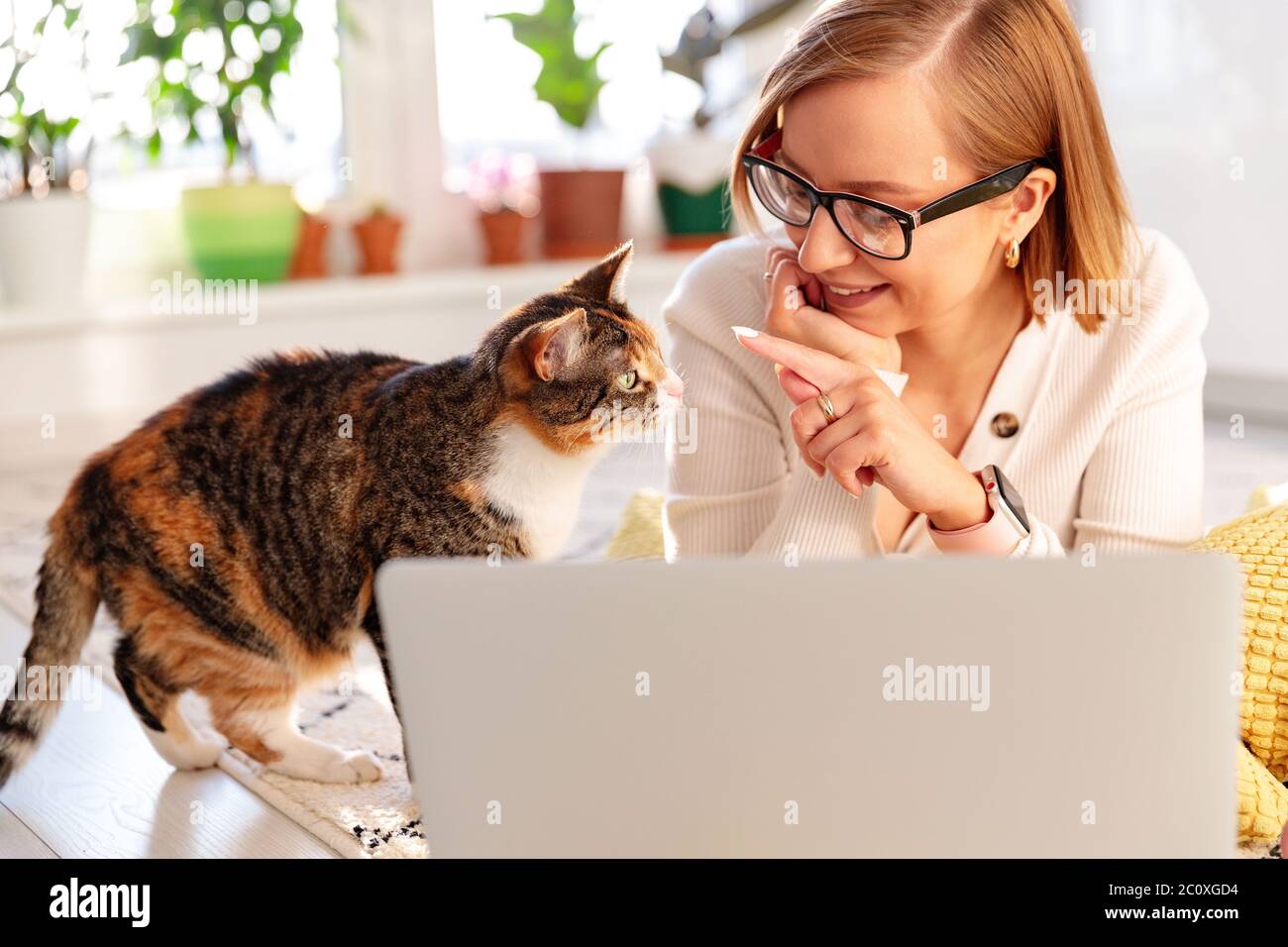 Smiling woman freelancer lies on carpet in living room, works on laptop at home during self-isolation, cat nearby wants attention and to be stroke. Qu Stock Photo