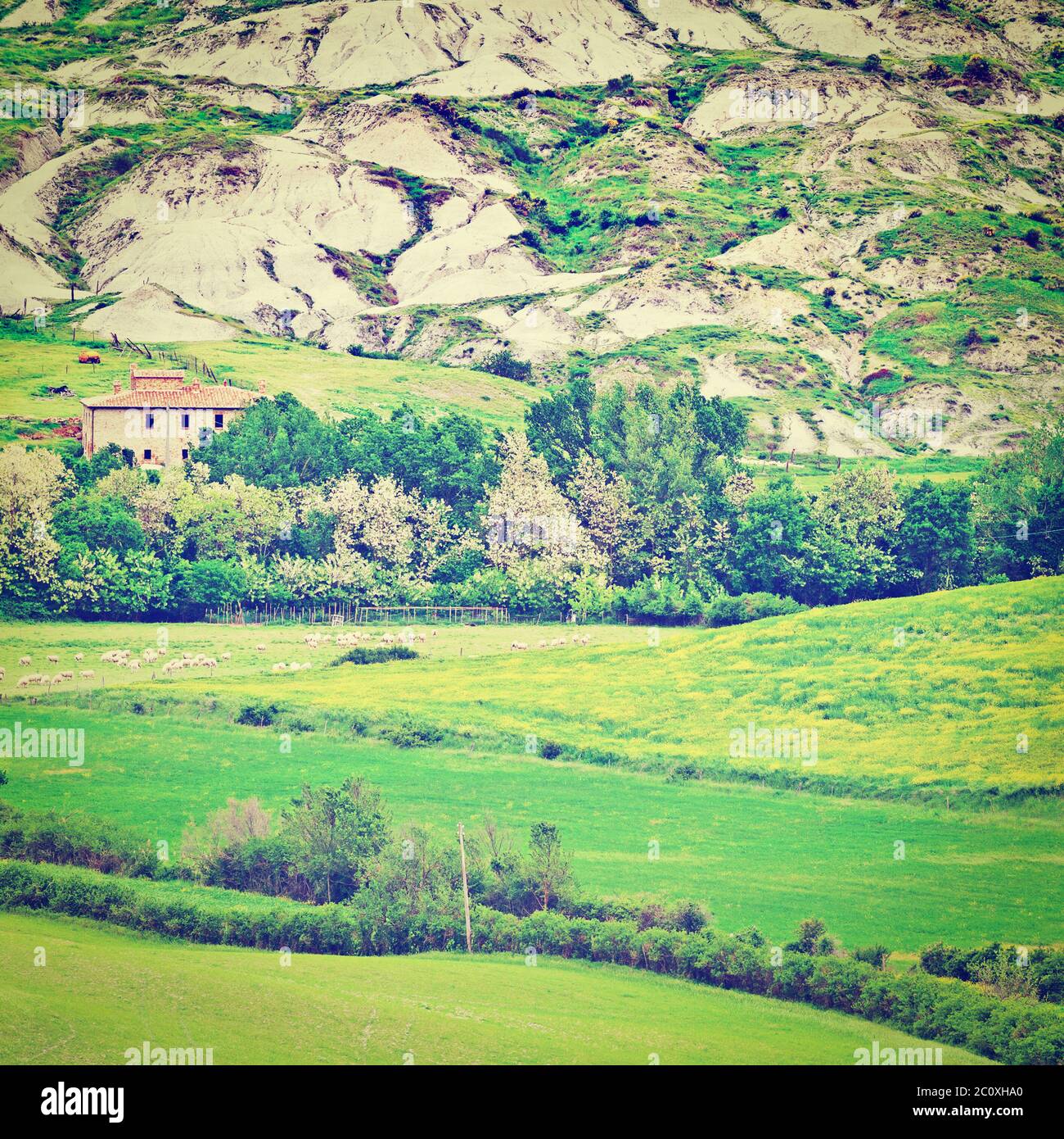 Canyon meadows hires stock photography and images Alamy