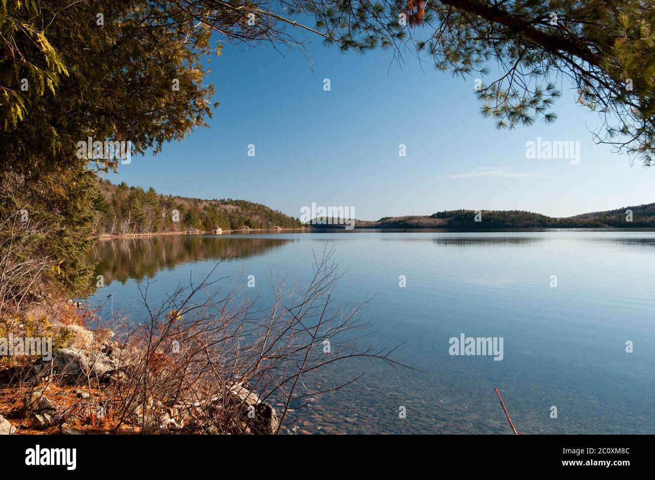 Summer Season lake with a frame picture displaying its summer season, trees and horizon. Stock Photo