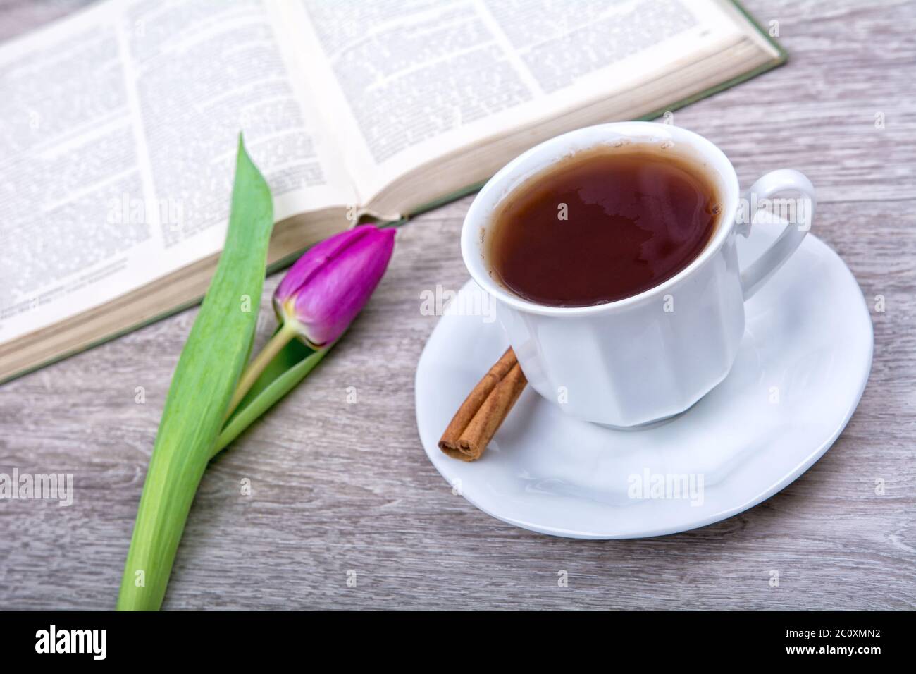 A cup of tea with cinnamon and purple tulip Stock Photo