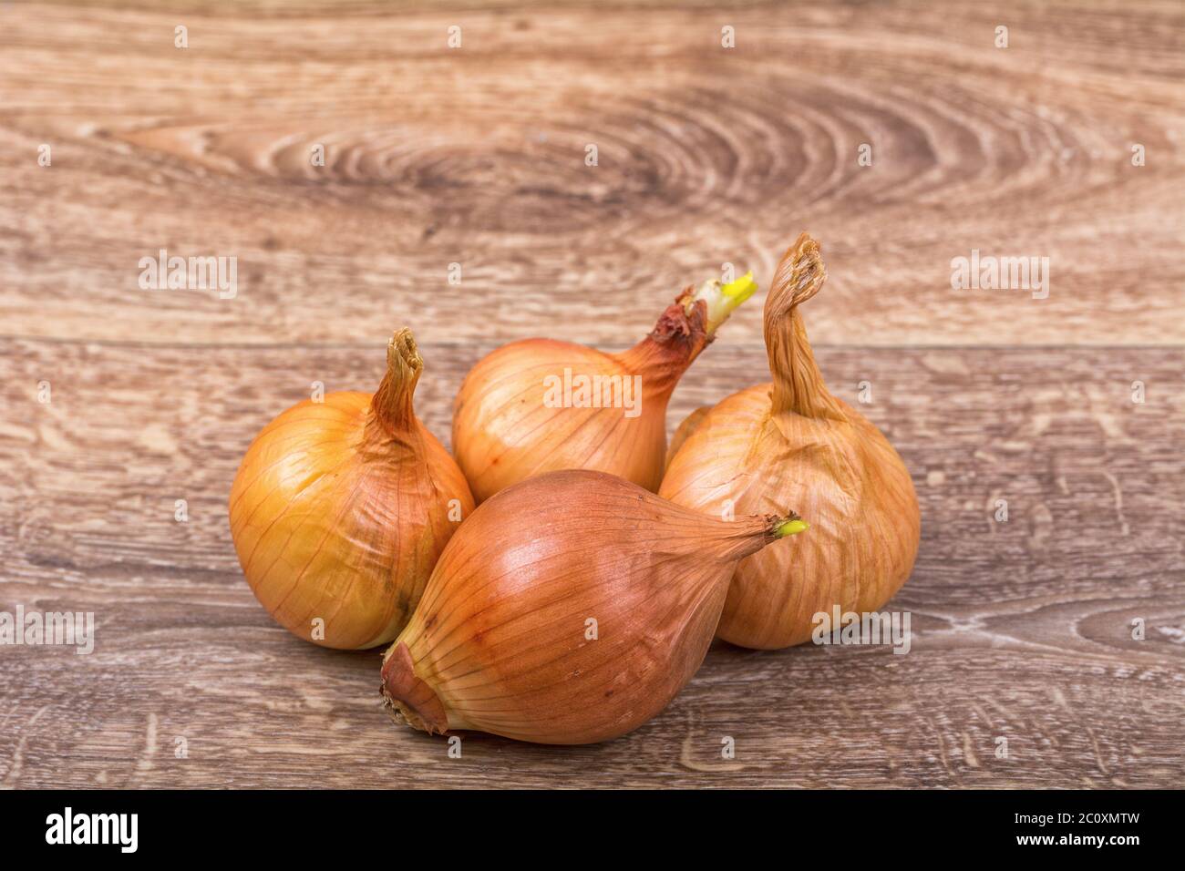 Mature onions hi-res stock photography and images - Alamy