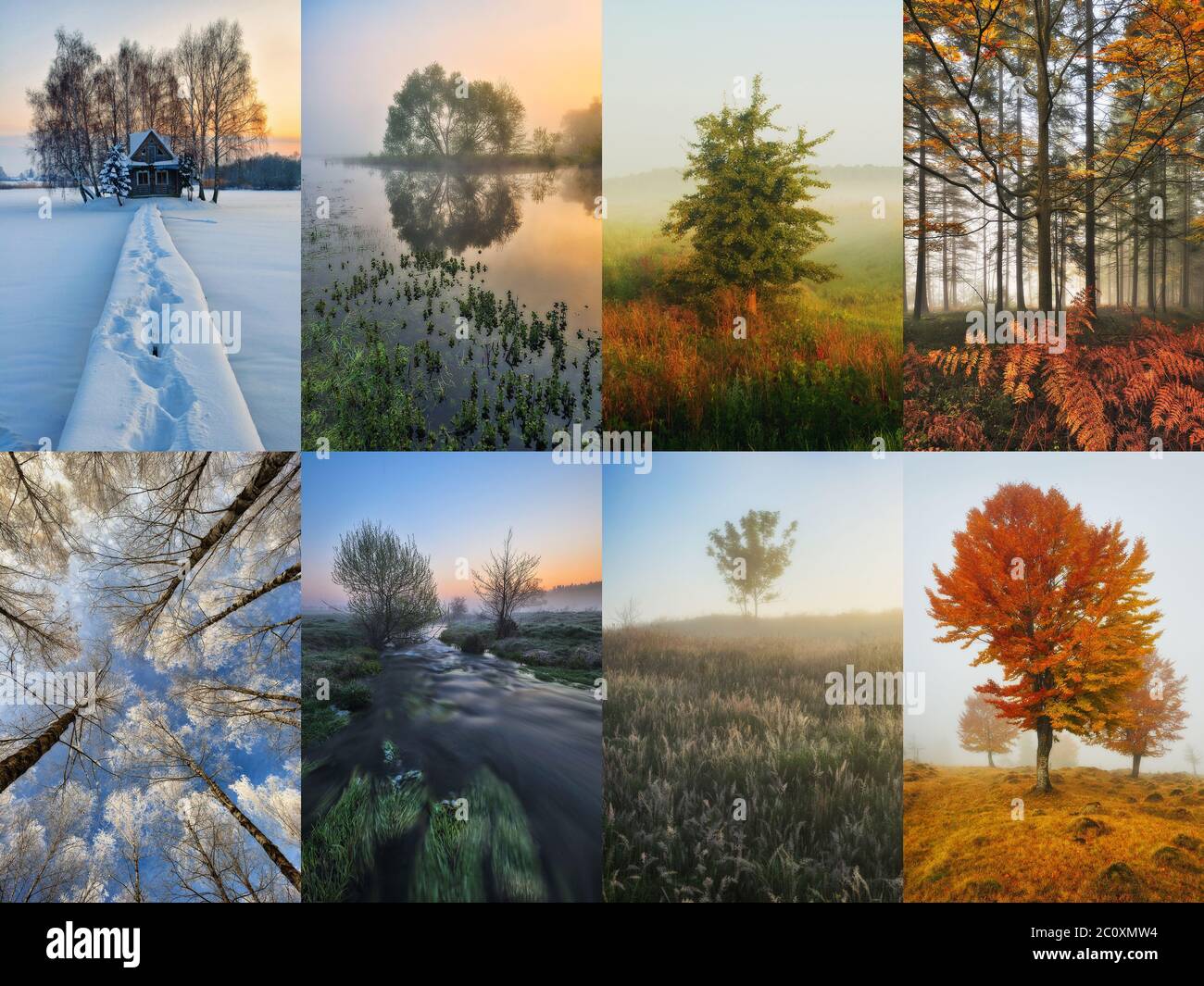 Collage Seasons All Season Seasons One Stock Photo 1571171767