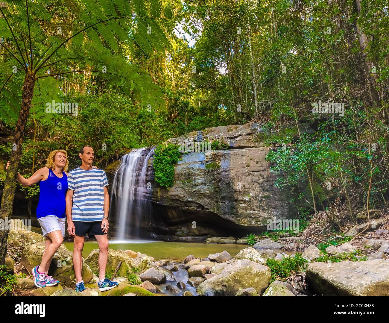 Tourist couplestand under large fern tree with Serenity Falls in the background of Stock Photo