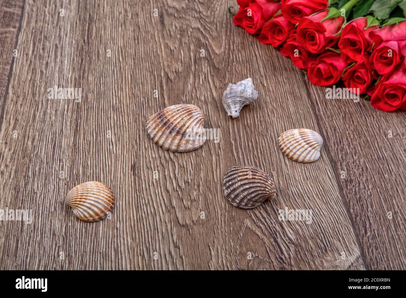 Sea shells and roses on a wooden background Stock Photo