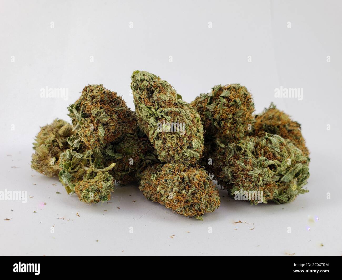 Group of dry flower Sativa cannabis buds close-up in front of a white background Stock Photo