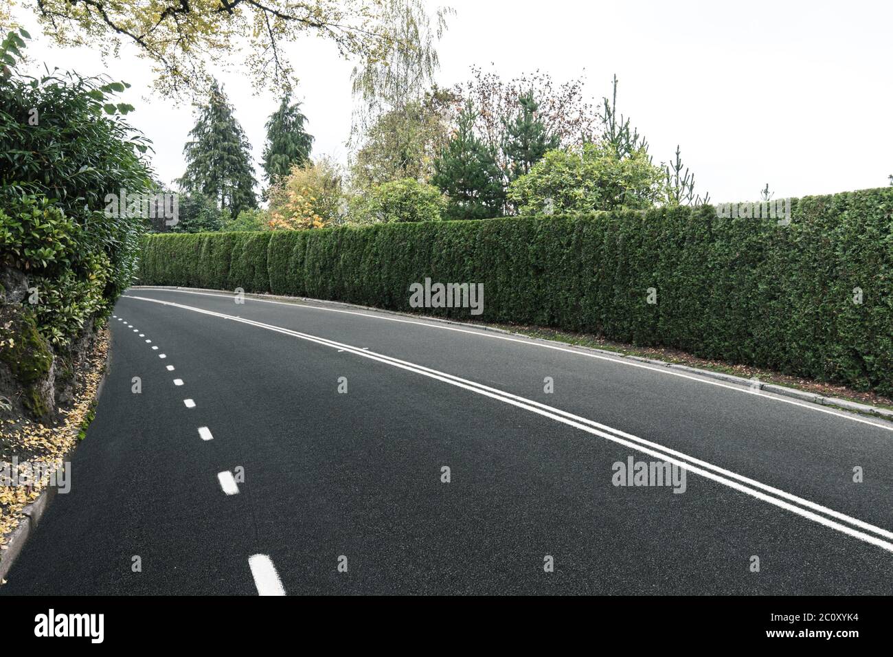Asphalt road through forest hi-res stock photography and images - Alamy