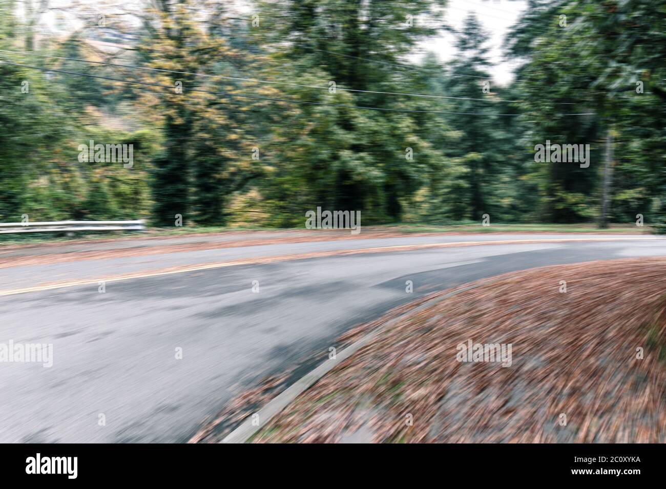 Empty asphalt road through forest hi-res stock photography and images ...