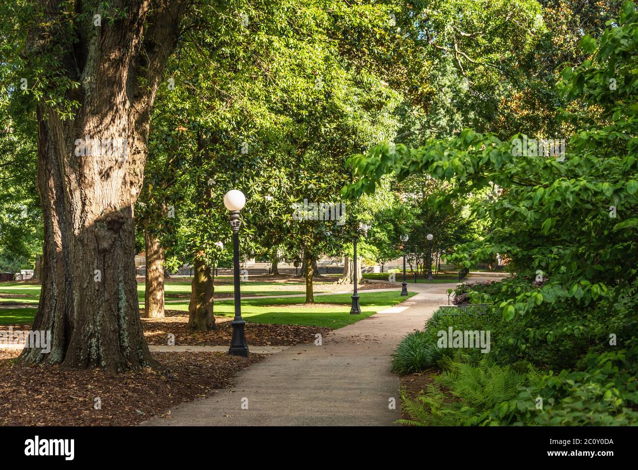 Campus walkways at the University of Georgia in Athens, Georgia. (USA) Stock Photo
