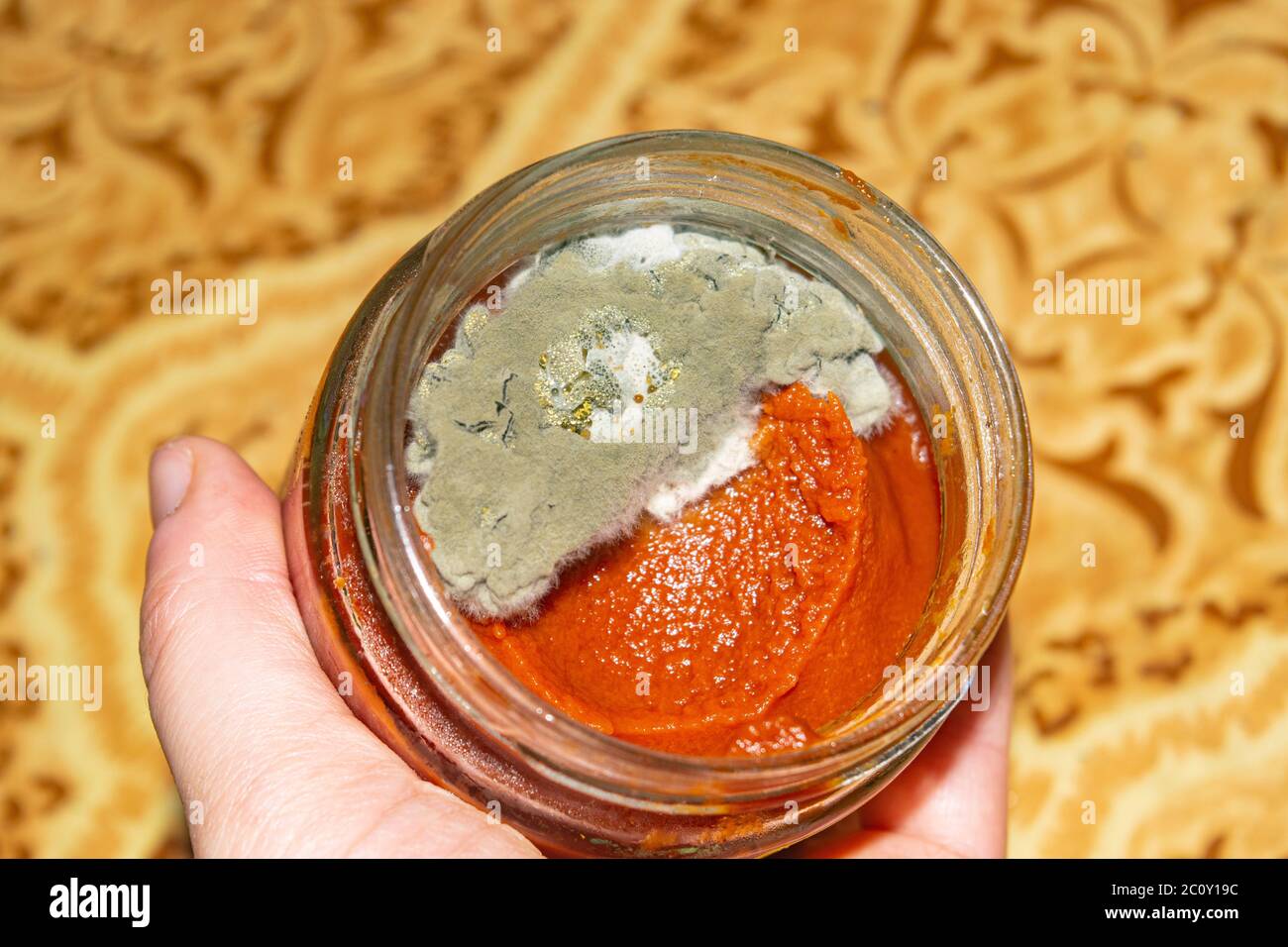 Mold growing on the tomato paste. Close up Stock Photo