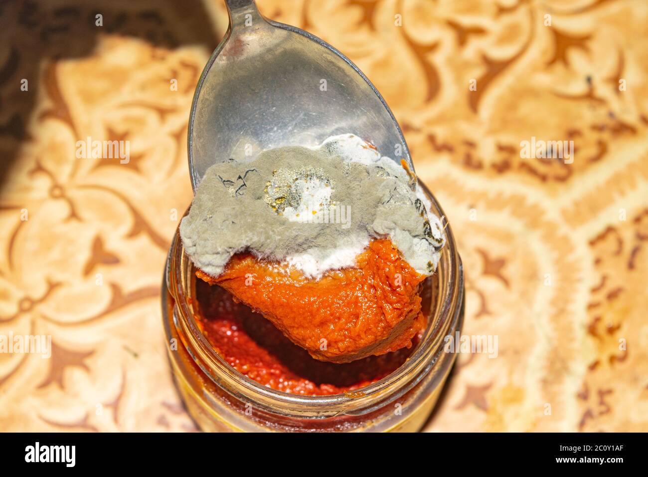 Mold growing on the tomato paste. Close up Stock Photo