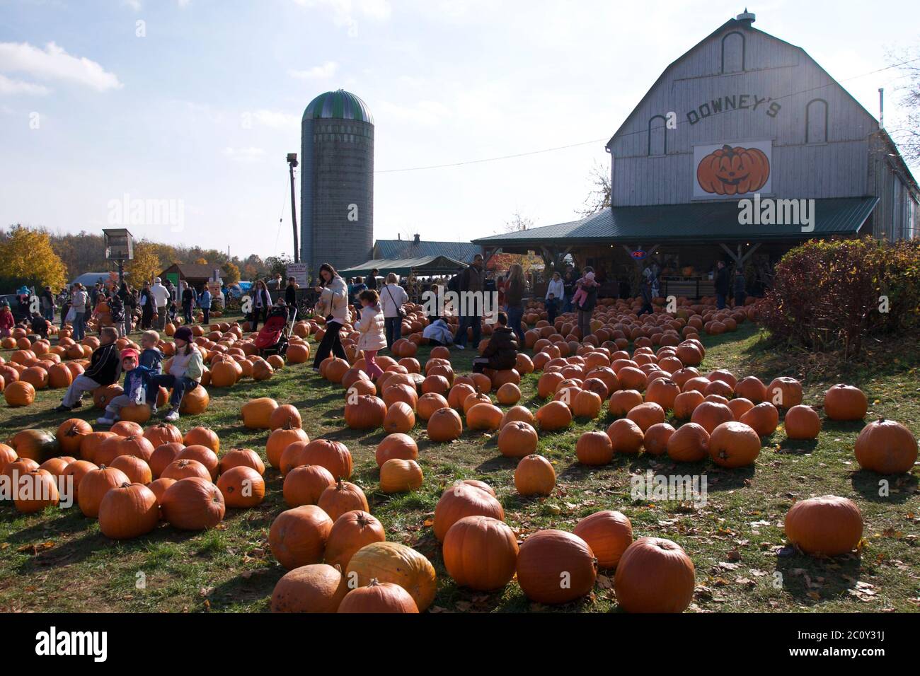 Orangeville, Ontario / Canada - 10/25/2009: Pumpkins on sale in a farm market, Orangeville, Ontario, Canada. Stock Photo