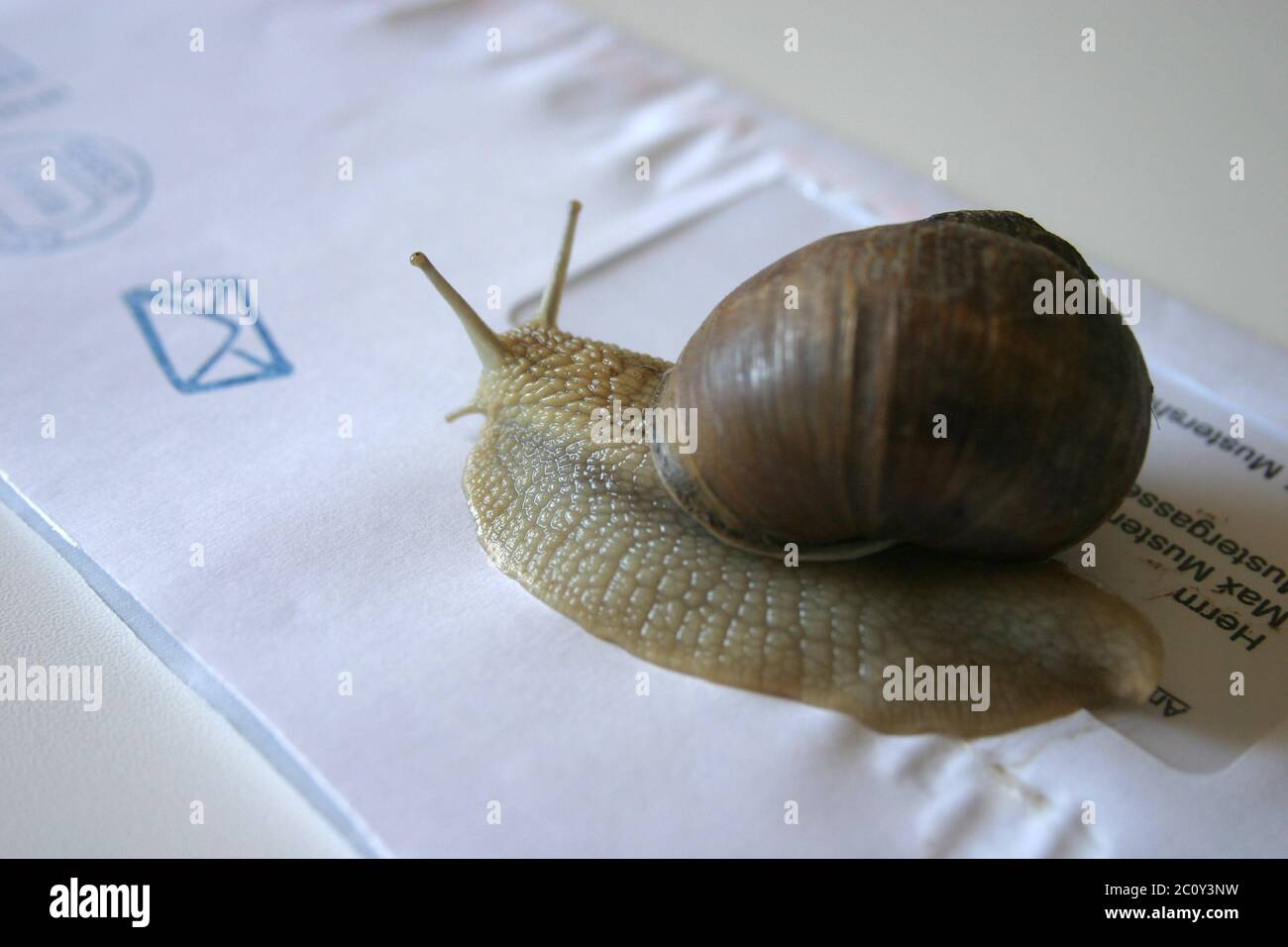 snail mail Stock Photo