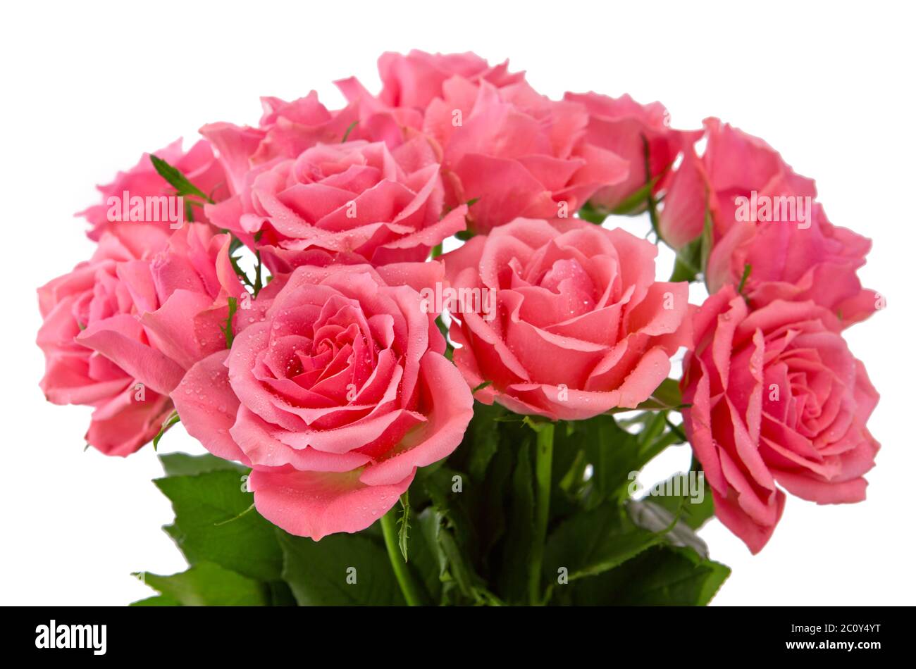 Pink rose bouquet isolated Stock Photo Alamy