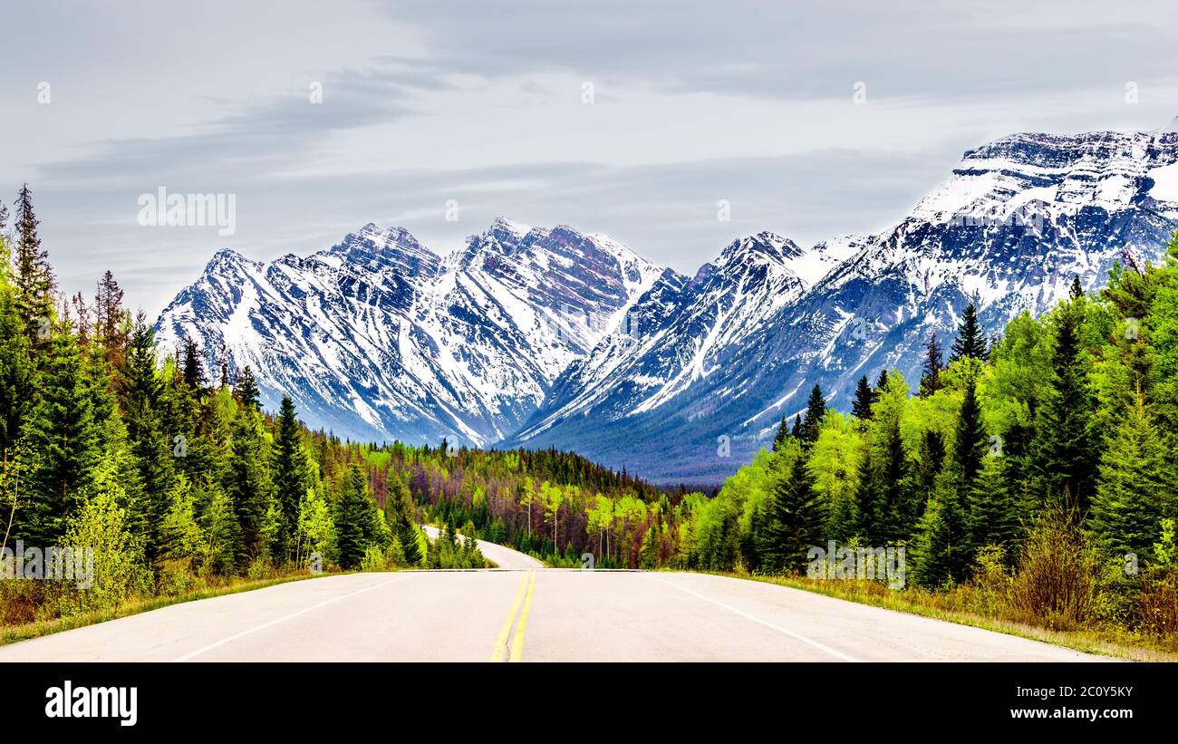 Icefields Parkway winding through the Rocky Mountain Range between the town of Jasper and the Columbia Ice Fields in Jasper National Park, Canada Stock Photo