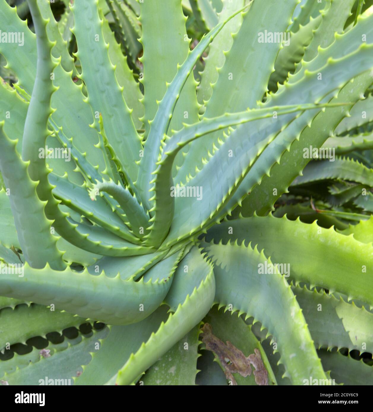My Image 26