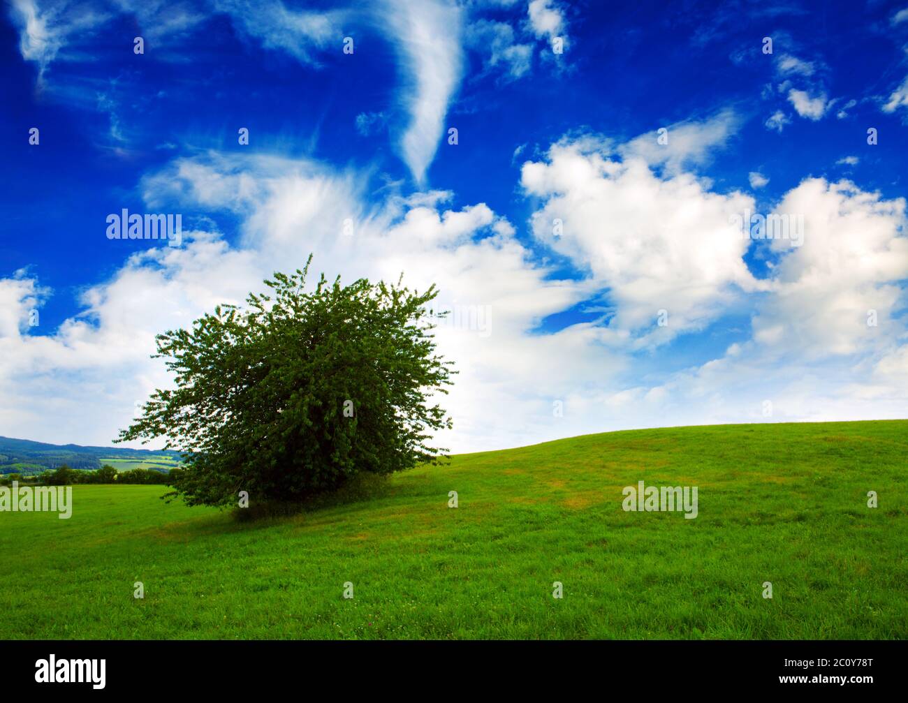 Field sky tree hi-res stock photography and images - Alamy