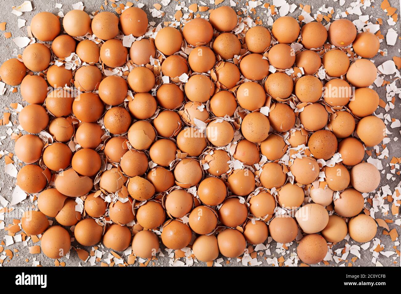 Egg shell texture, background from halves of an egg shell. top view
