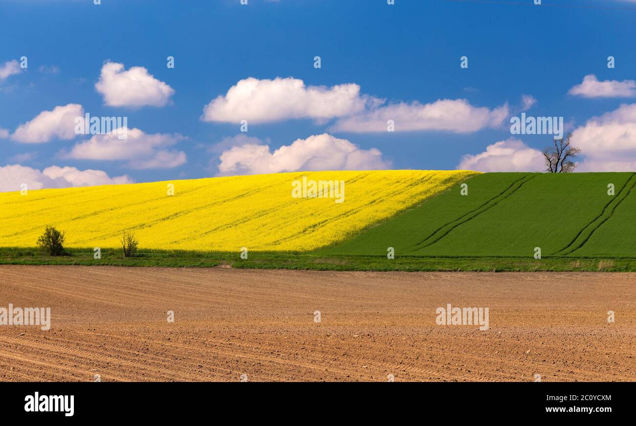 Beautiful summer rural landscape Stock Photo - Alamy