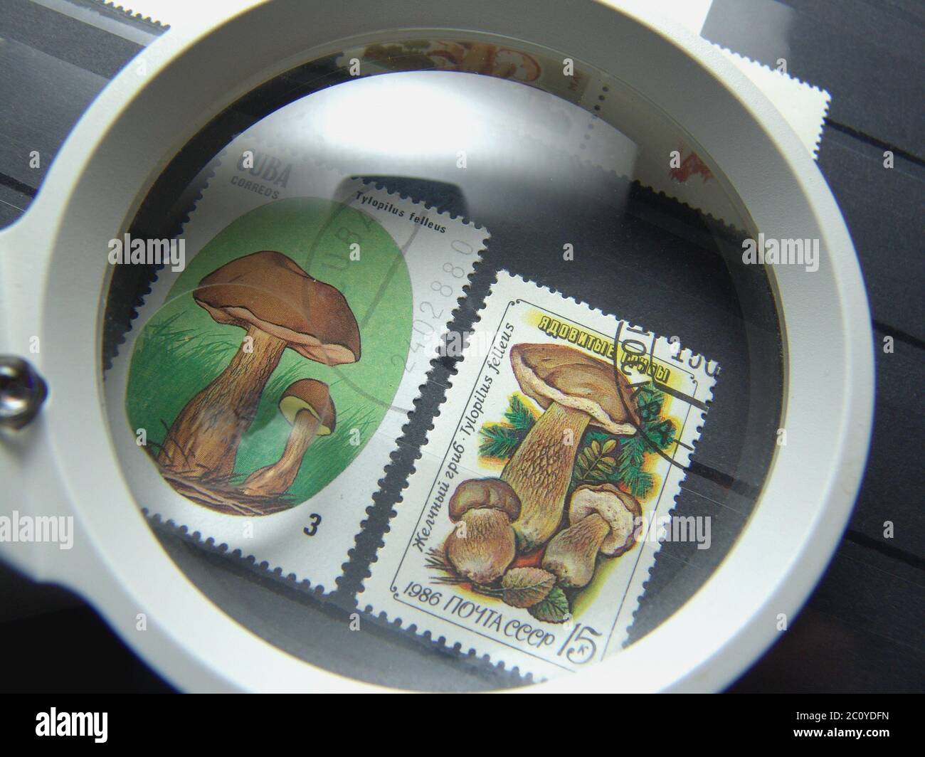 to collect stamps Stock Photo