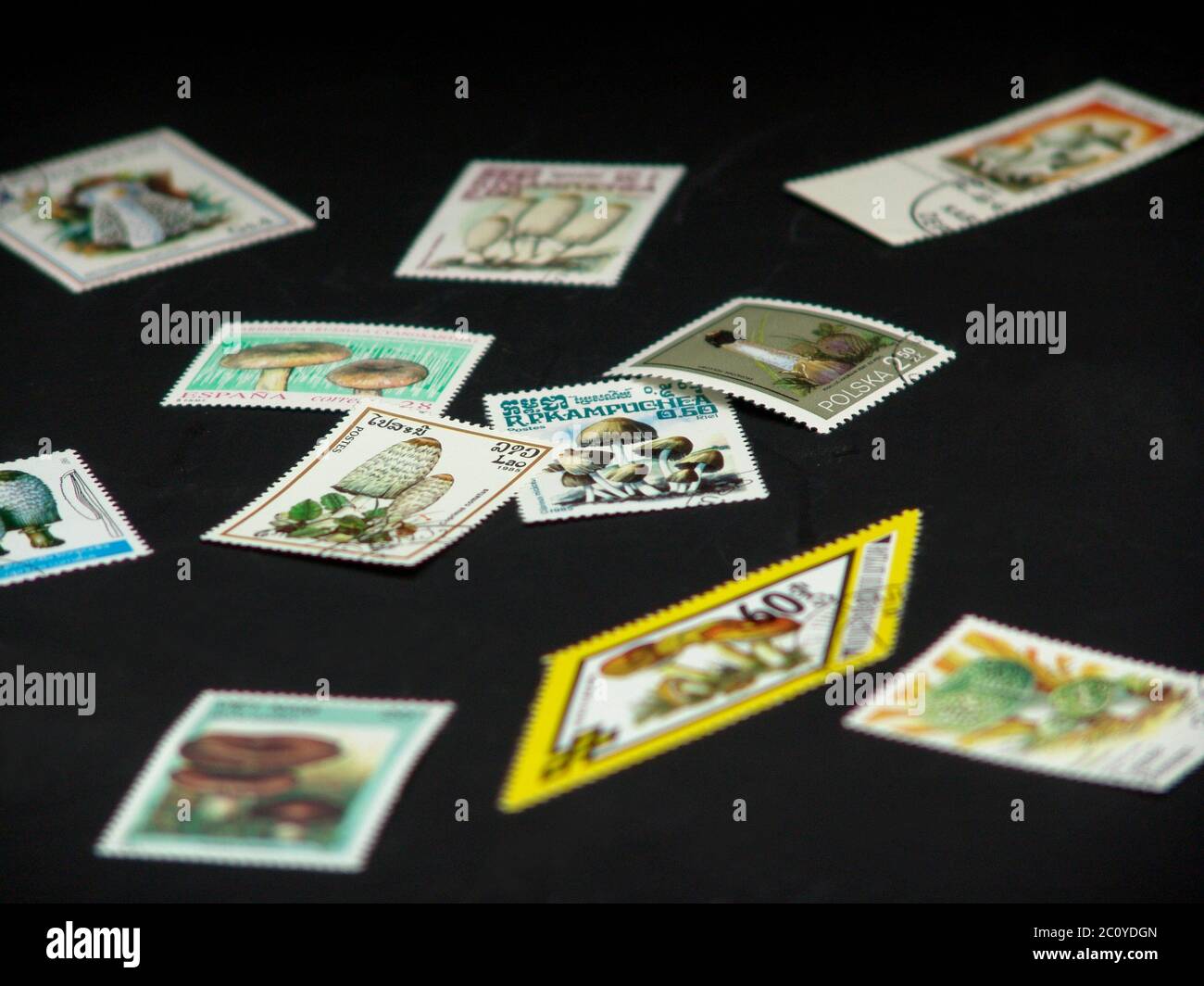 to collect stamps Stock Photo