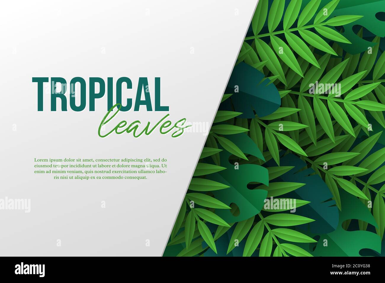 Banner with exotic jungle tropical palm leaves Stock Vector Image & Art ...