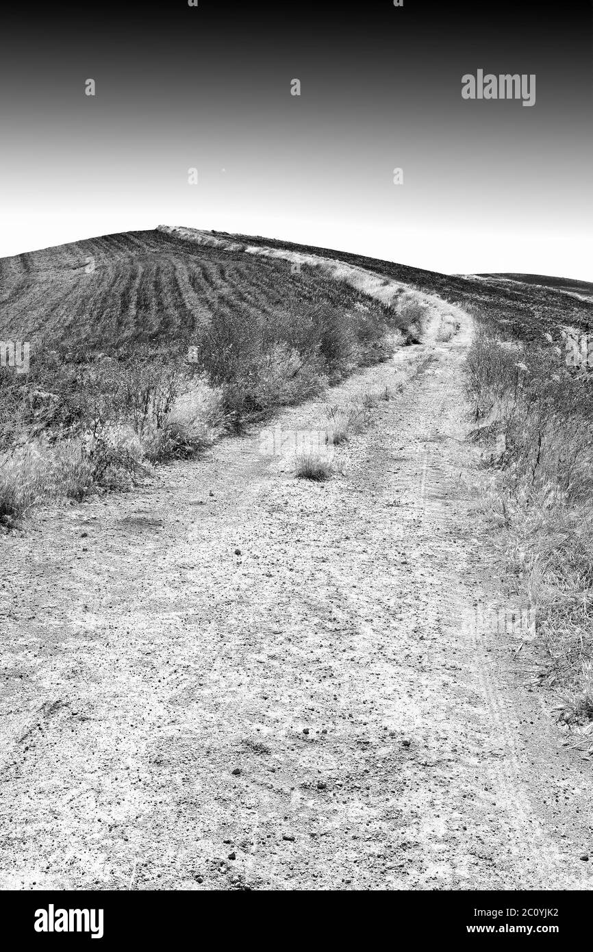 Spring landscape dirt road Black and White Stock Photos & Images - Alamy