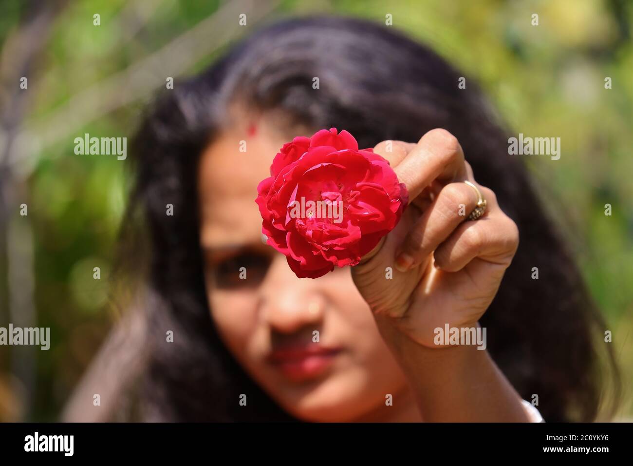 The blurred face of a young girl giving a red rose flower in open hairs Stock Photo