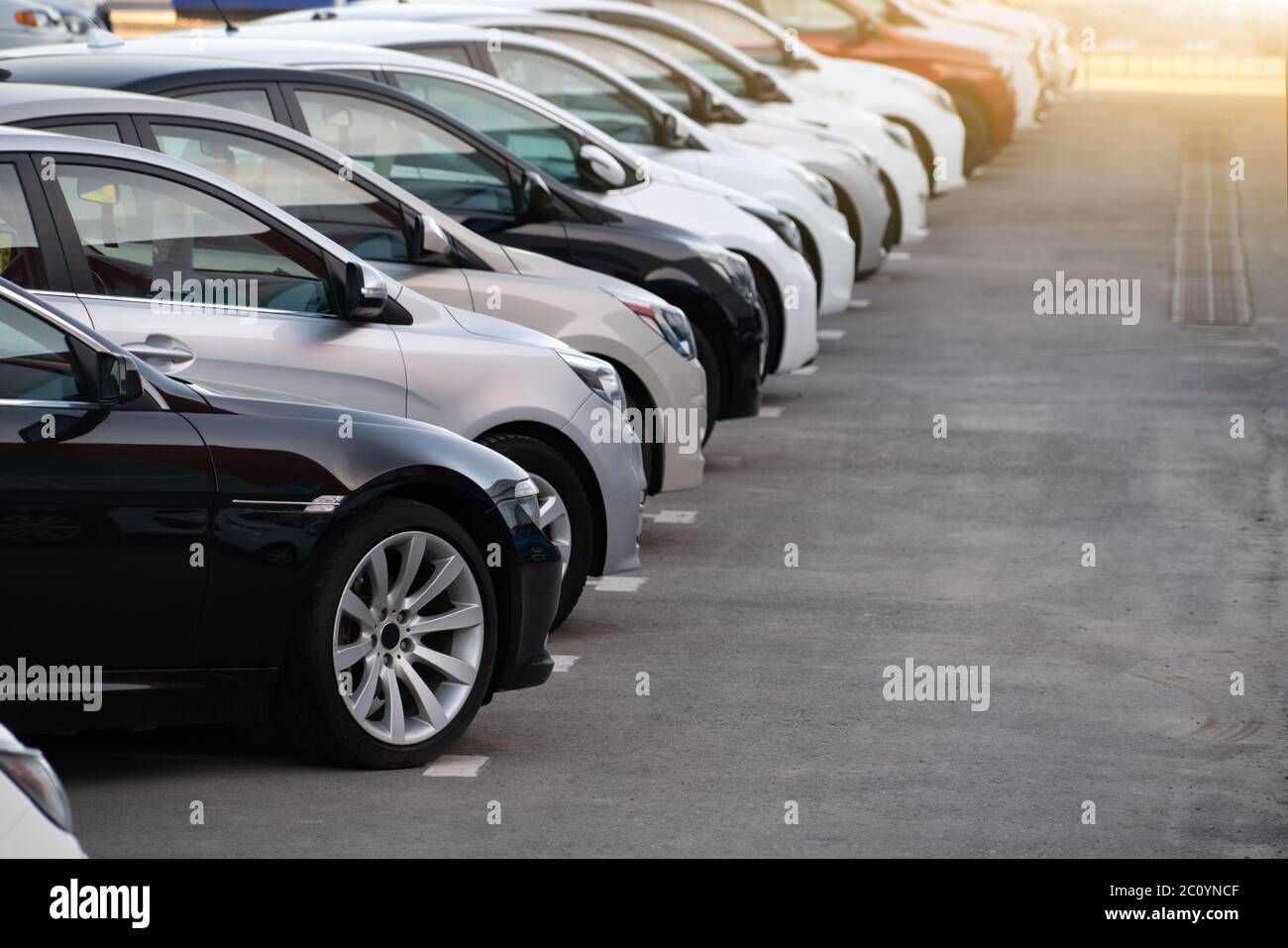 Cars in a row. Used car sales  Stock Photo
