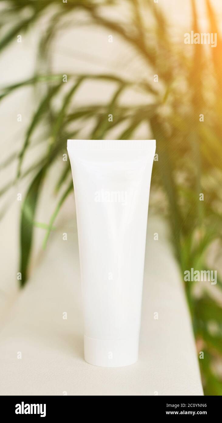 Download Cosmetic White Tube Cream Mockup Blank Product Stock Photo Alamy