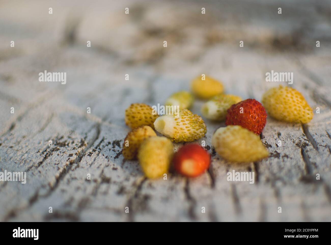 yellow and red Strawberry on the old tree stump with cracks Stock Photo