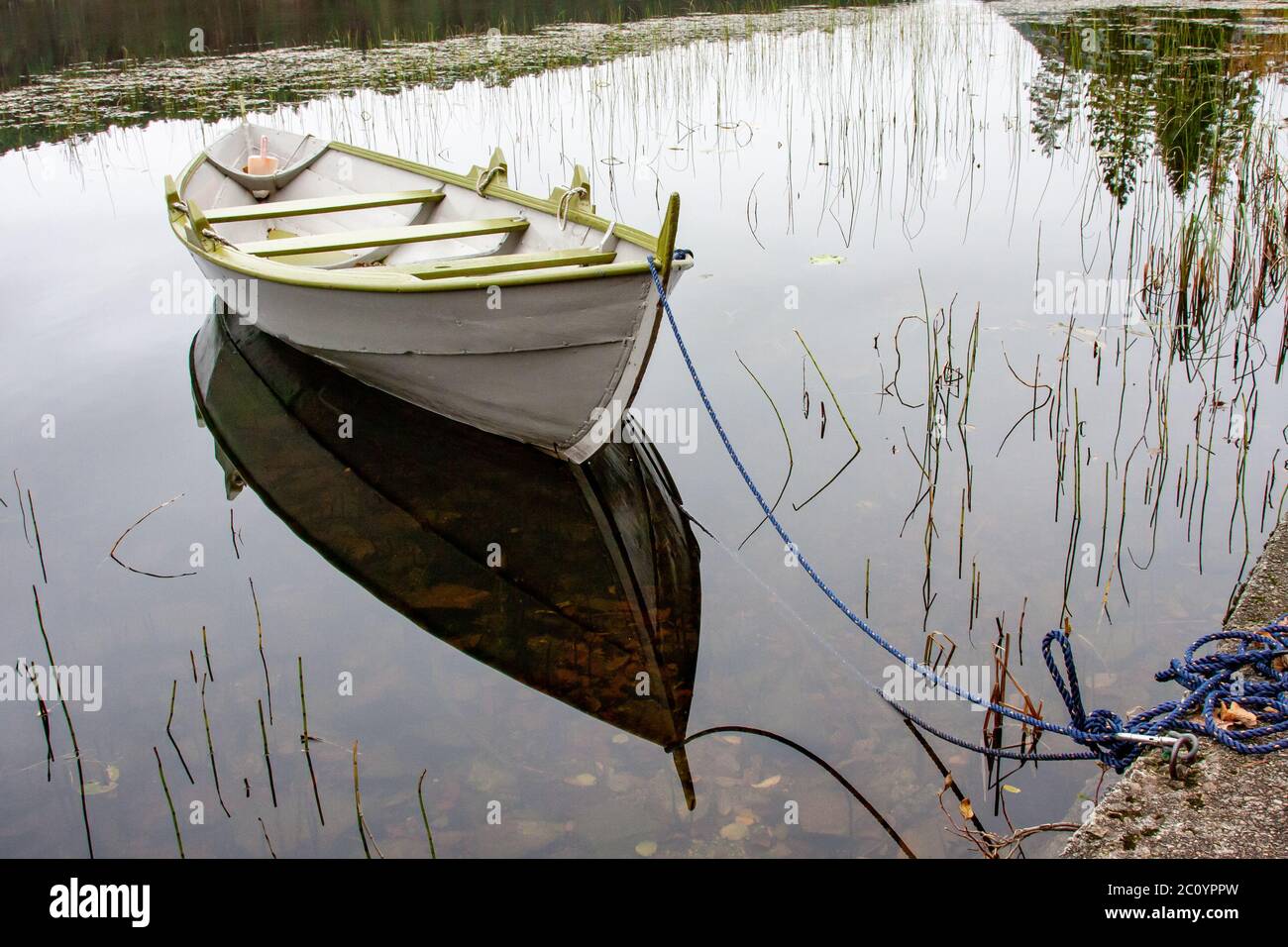 Old white row-boat on a tranquil lake Stock Photo