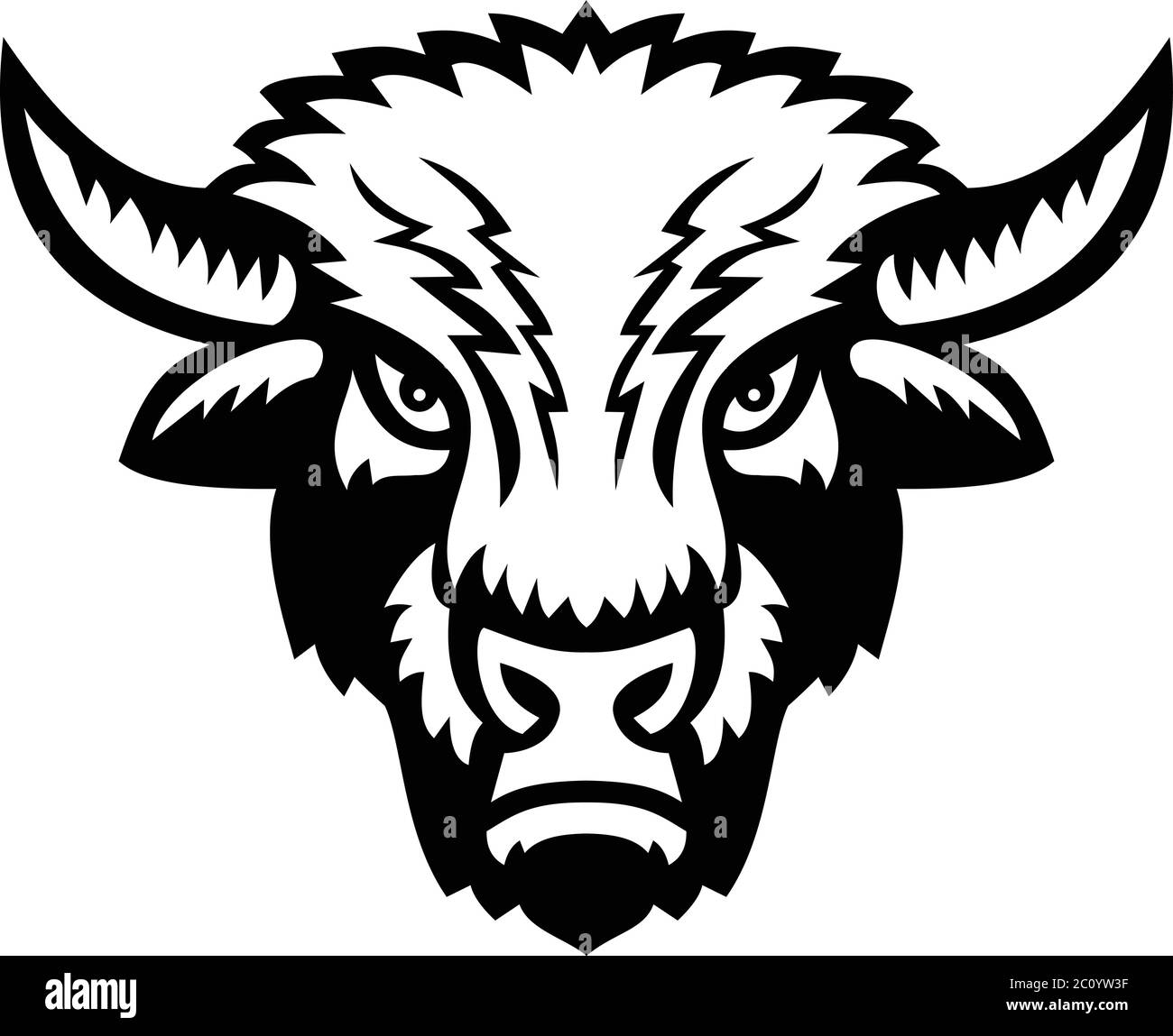 Mascot icon illustration of an American bison or American buffalo viewed  from front on isolated background in retro black and white style Stock  Vector Image & Art - Alamy