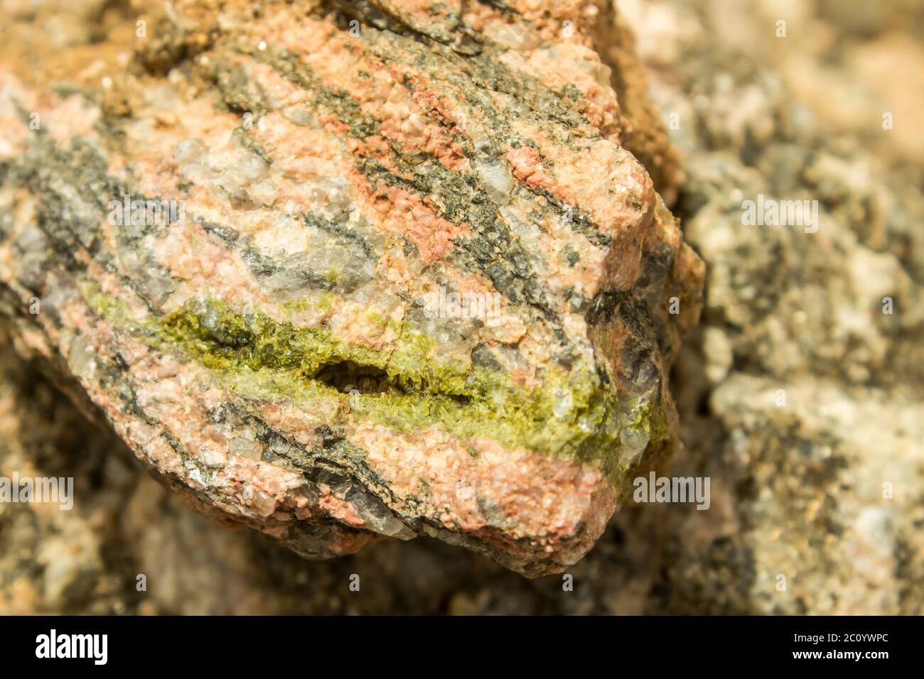Epidote crystals growing in a crack in weathered boulder of Augen gneiss Stock Photo