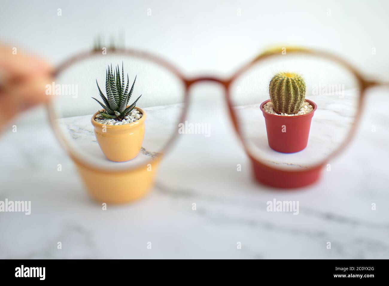 Close up of eye glasses for nearsightedness myopia with vision blurry, but sharp in lenses. Bad eyesight concept Stock Photo