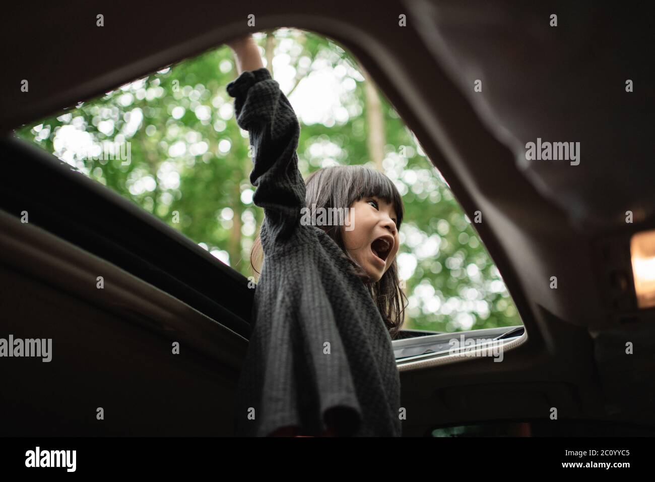little girl stood screaming with her hands up through the open roof of ...