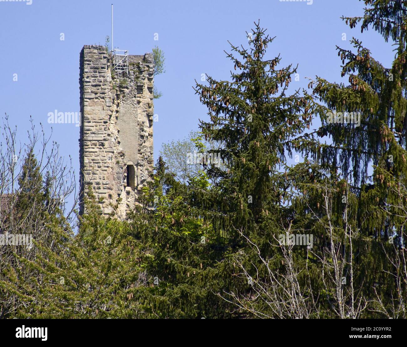 Tengen hires stock photography and images Alamy