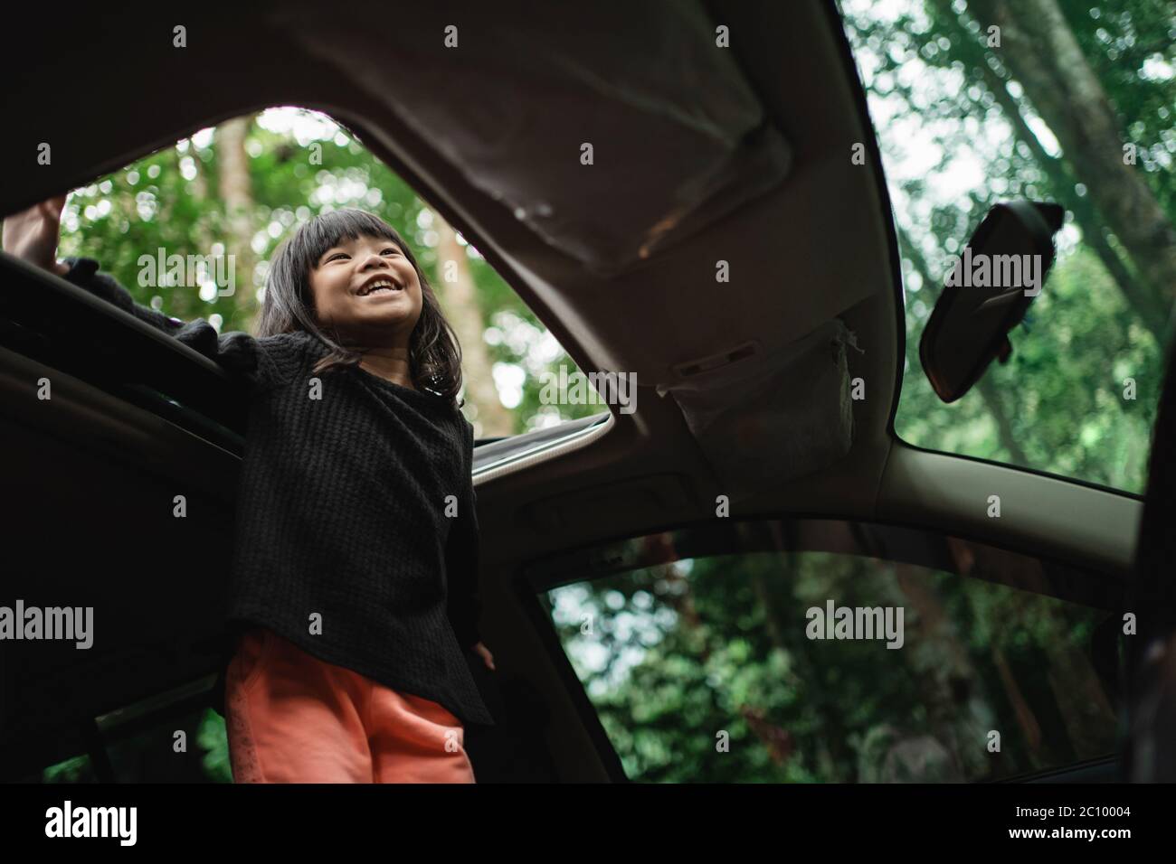 Girl standing on roof of car hi-res stock photography and images - Alamy