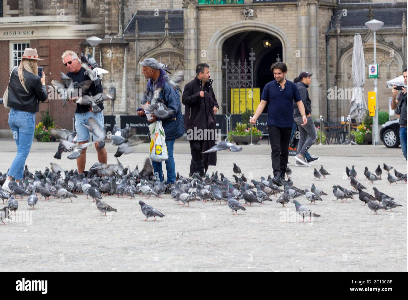 People feeding the pigeons,in front of Royal palace in Amsterdam,Netherlands Stock Photo