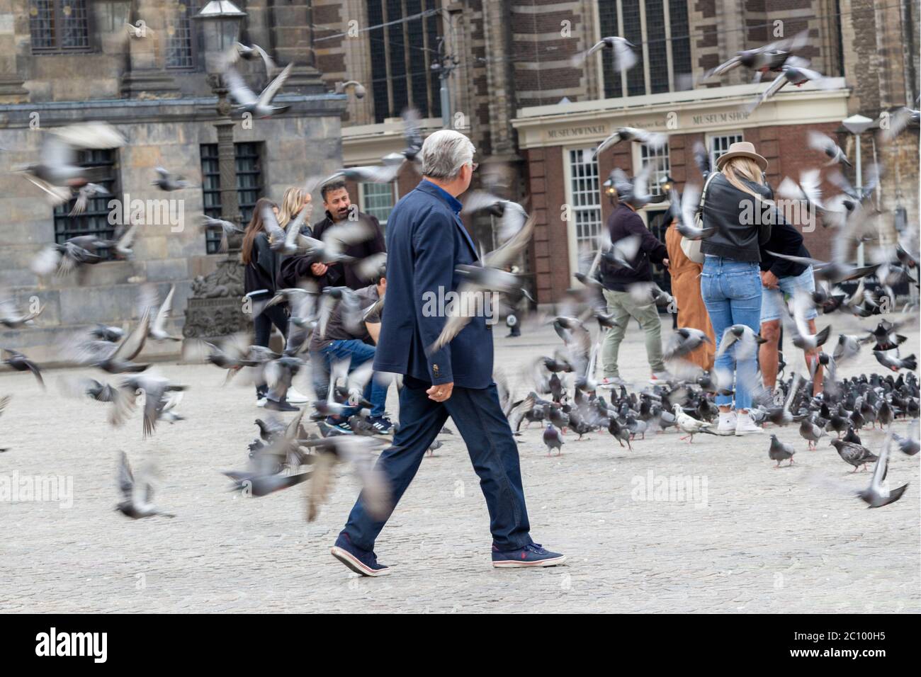 People feeding the pigeons,in front of Royal palace in Amsterdam,Netherlands Stock Photo