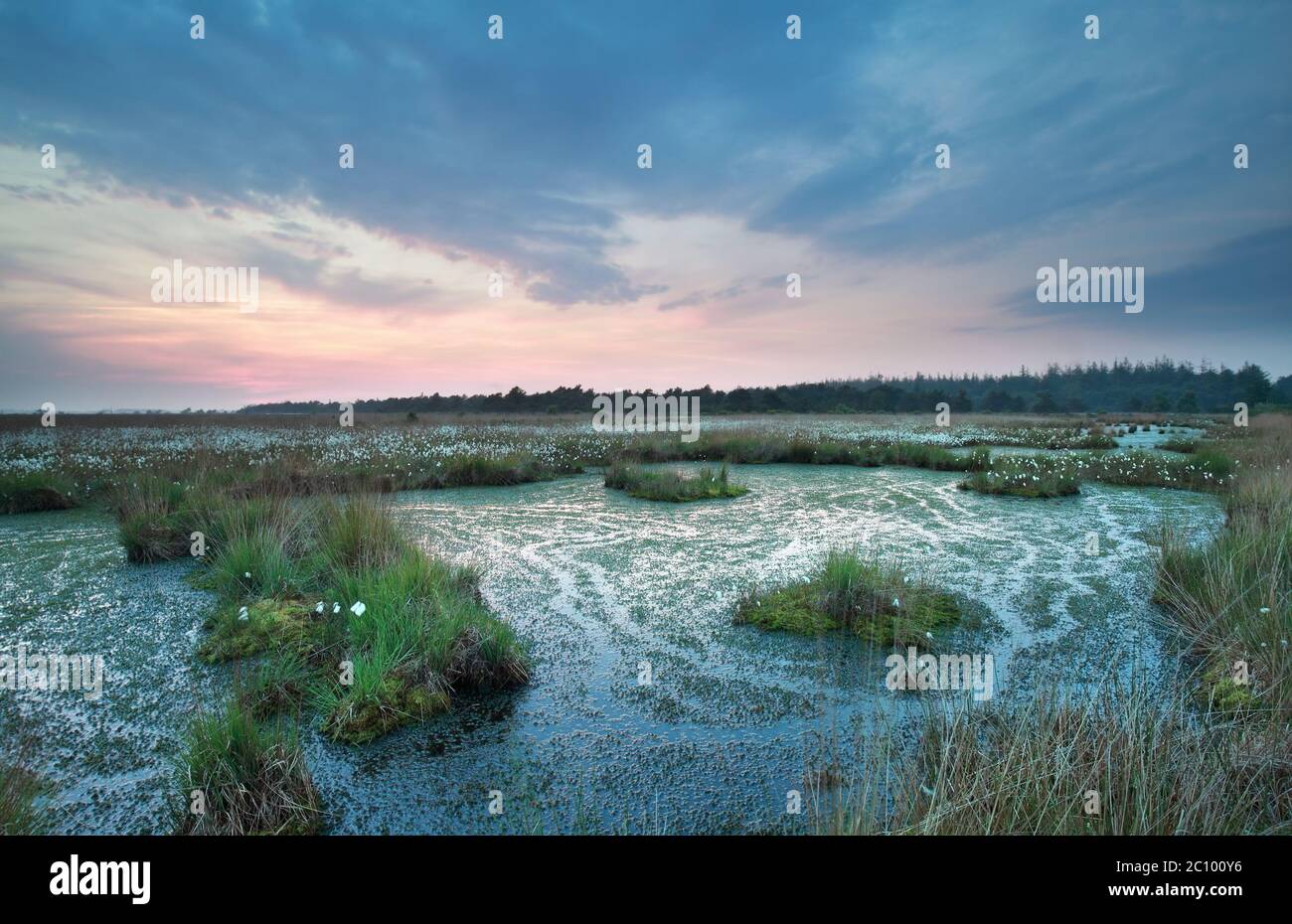 Swamp water at sunset hi-res stock photography and images - Alamy