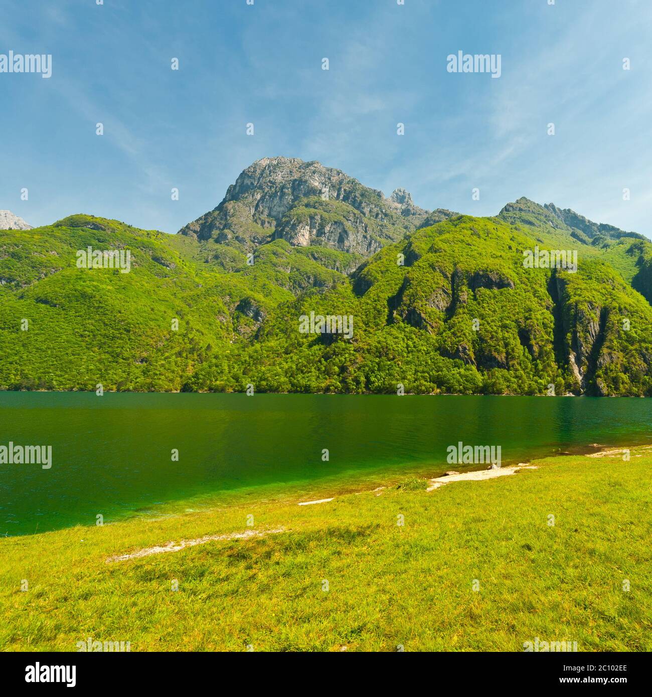 Calmness Stock Photo